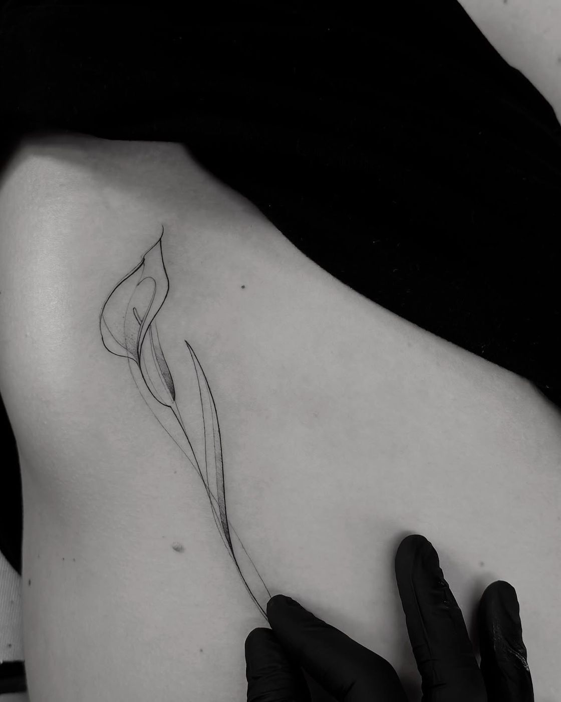 Fineline-Calla-Lilie, frisch gestochen